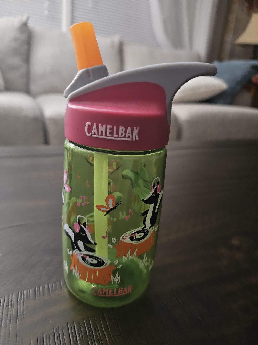 Kid's Camelbak water bottle - DJ Skunk